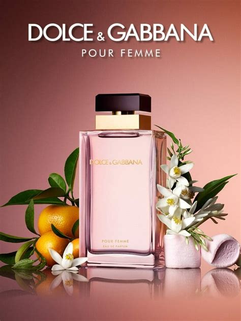 dolce gabbana pour femme edp|Dolce & Gabbana perfume women reviews.